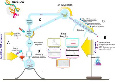 CaSilico: A versatile CRISPR package for in silico CRISPR RNA designing for Cas12, Cas13, and Cas14